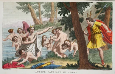 Actaeon in einen Hirsch verwandelt, Illustration aus Ovids Metamorphosen, Florenz, 1832